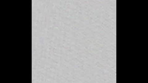 WildKings online show from January 13, 2026, 11:04 am