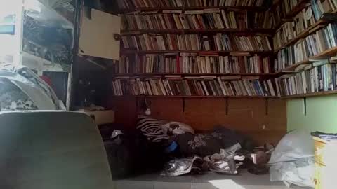 kindhate01 online show from February 13, 2026, 9:38 am