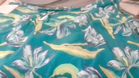 kingindisguise69 online show from February 18, 2025, 11:19 pm