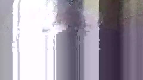 Sally online show from November 18, 2025, 6:45 pm