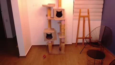 Snapshot of kintsugim chatting on November 7, 2025, 4:01 am kintsugi online show from November 7, 2025, 4:01 am