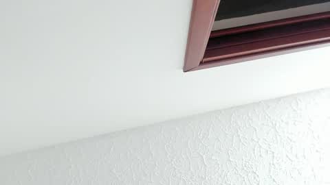 Sara online show from February 27, 2026, 12:16 pm