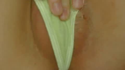 Snapshot of kitkatbaby2 chatting on June 17, 2026, 5:32 am Kitty online show from June 17, 2026, 5:32 am
