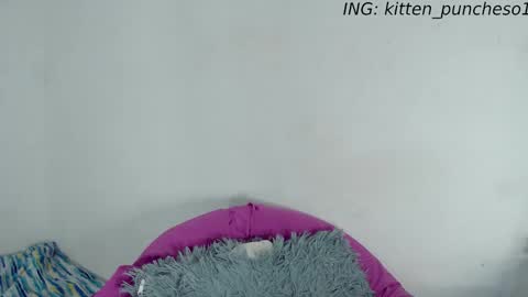 Snapshot of kitten_punches01 chatting on September 28, 2025, 2:39 am kitten_punches01 online show from September 28, 2025, 2:39 am