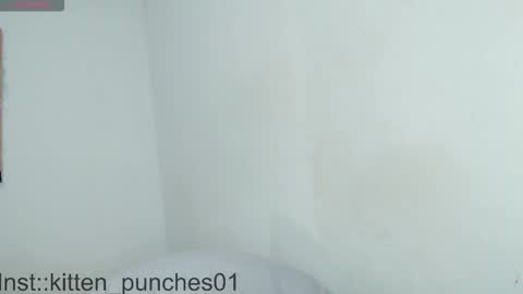 kitten_punches02 online show from November 1, 2025, 3:08 am