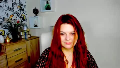 Kitten online show from May 8, 2026, 6:19 am