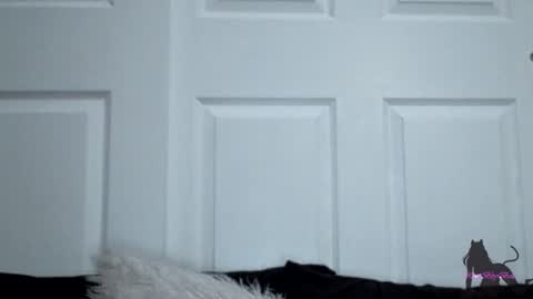 Snapshot of kittibbybells0311 chatting on November 11, 2025, 7:52 am Kitti online show from November 11, 2025, 7:52 am