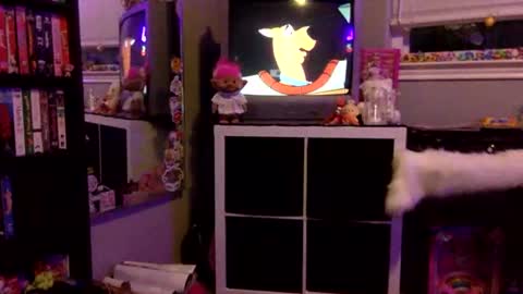 Snapshot of kittykatcoco chatting on November 11, 2025, 4:23 am kittykatcoco online show from November 11, 2025, 4:23 am