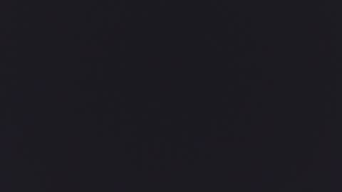 Kitty  online show from September 16, 2025, 12:17 pm