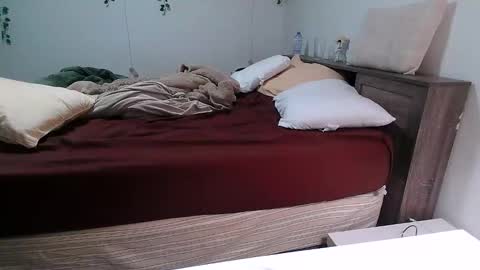 Kittyymaze online show from December 18, 2025, 12:44 pm