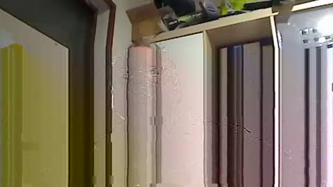 kokin3034 online show from February 22, 2025, 8:40 am