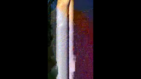 komi235 online show from February 24, 2026, 8:01 am