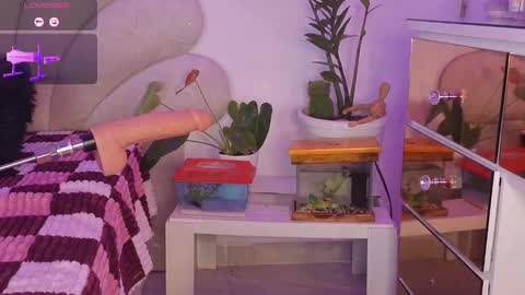 korolova online show from September 20, 2025, 1:28 am