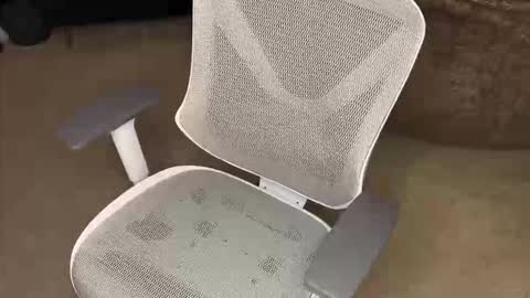 your hairy neighbor online show from December 16, 2025, 9:58 am