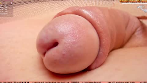 Snapshot of kpetra chatting on November 3, 2025, 7:15 pm Petra online show from November 3, 2025, 7:15 pm