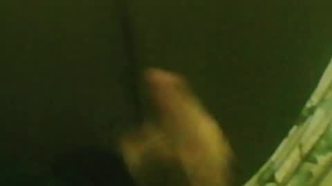 Snapshot of kren565656 chatting on December 29, 2024, 1:34 am kren565656 online show from December 29, 2024, 1:34 am