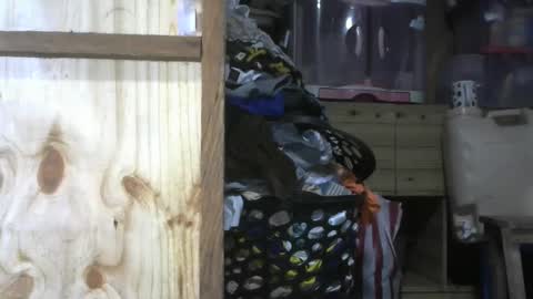 krishasweet online show from December 11, 2024, 3:58 pm