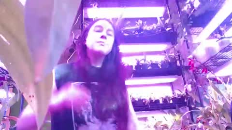 krookedorchid online show from November 1, 2025, 2:52 pm