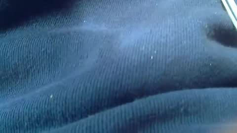 kunio37 online show from January 4, 2025, 1:42 am