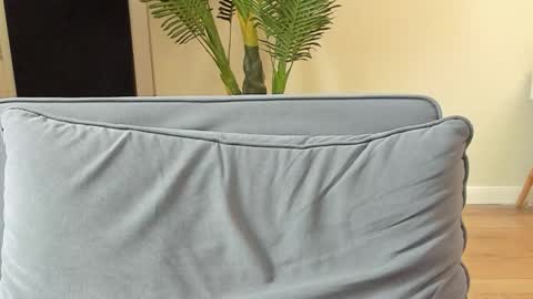 Snapshot of kyle_4u chatting on November 5, 2025, 12:16 pm Kyle online show from November 5, 2025, 12:16 pm