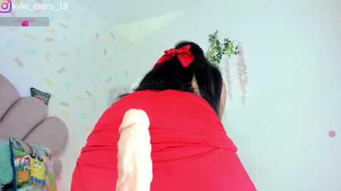 Snapshot of kylie_evans_18 chatting on March 2, 2025, 12:31 am Kylie online show from March 2, 2025, 12:31 am