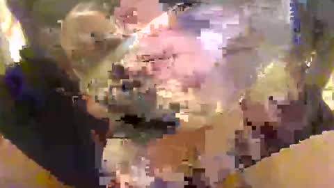 Snapshot of l0ngjohnsilv3er chatting on October 16, 2025, 4:52 pm l0ngjohnsilv3er online show from October 16, 2025, 4:52 pm