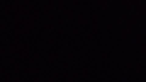 laceieizlaced online show from April 4, 2026, 11:08 am