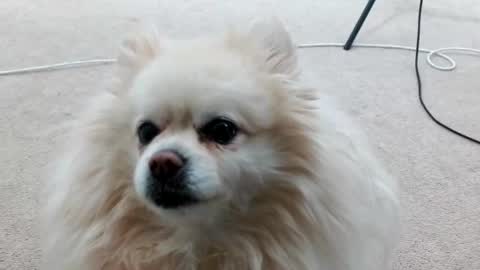 Lacey Phoenix online show from March 4, 2025, 3:11 am