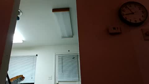 lacybell online show from January 14, 2025, 2:50 am