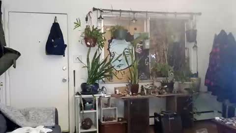 lacybell online show from March 2, 2025, 3:45 am