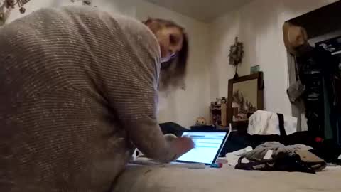 lacybell online show from November 16, 2025, 8:20 am