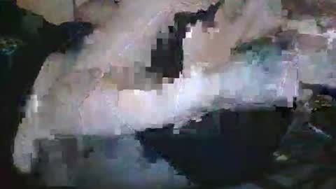 lady24x online show from April 29, 2026, 2:48 am