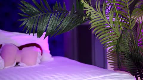 Lala online show from September 13, 2025, 7:13 pm