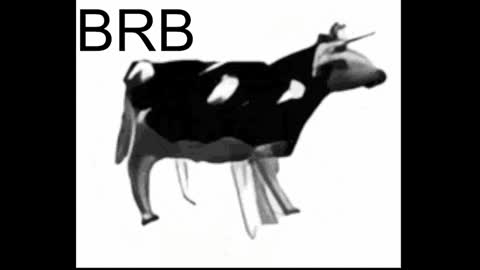 just call me Lana  and her security online show from January 17, 2025, 5:19 pm