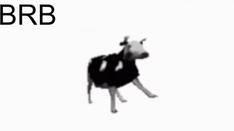 just call me Lana  and her security online show from January 25, 2025, 11:13 am