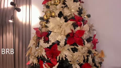 Tiana online show from December 19, 2024, 11:25 pm