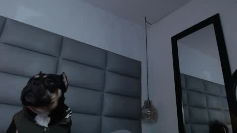 Snapshot of larademon chatting on December 31, 2024, 12:00 am lara online show from December 31, 2024, 12:00 am