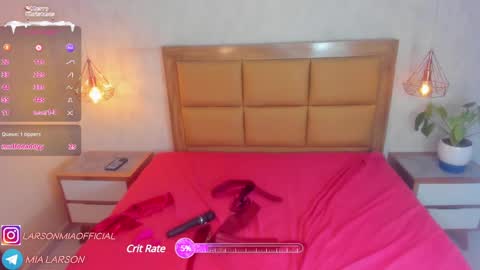 Snapshot of larsonmia chatting on December 30, 2024, 3:35 pm MIA online show from December 30, 2024, 3:35 pm