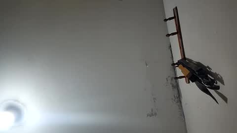 Snapshot of latigo1000 chatting on December 20, 2025, 3:30 pm CHARLES ROBERT online show from December 20, 2025, 3:30 pm