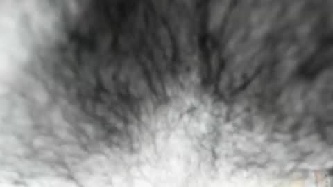 Zeus online show from February 3, 2026, 8:08 am