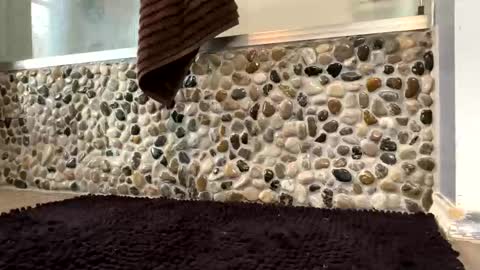 latinlover199518 online show from April 16, 2026, 1:23 pm