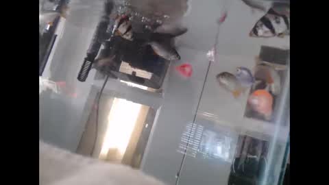 Snapshot of latinlover513 chatting on March 2, 2025, 10:16 pm latinlover513 online show from March 2, 2025, 10:16 pm