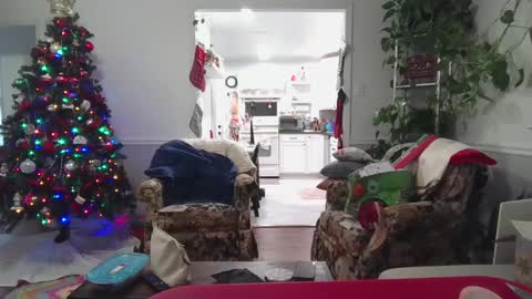 LauLauMa online show from December 23, 2024, 1:29 am