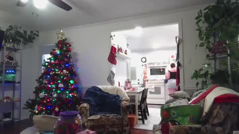 LauLauMa online show from December 23, 2024, 4:33 am