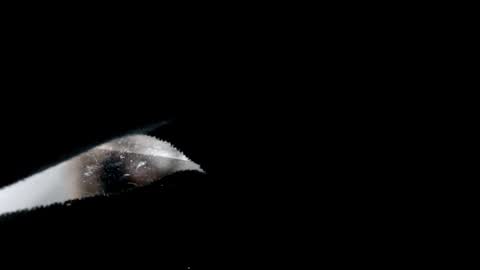 Laura online show from December 24, 2024, 9:00 pm