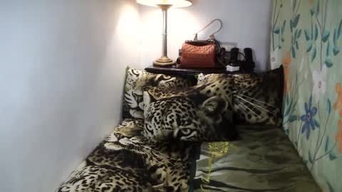 Belle online show from February 2, 2025, 8:13 am