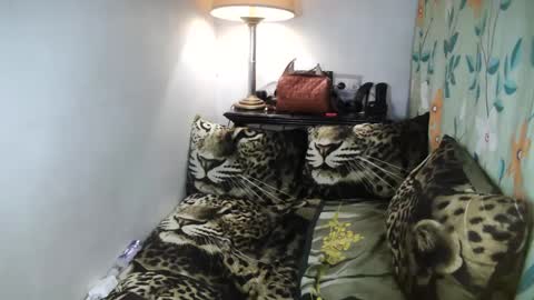 Belle online show from February 8, 2025, 10:08 pm