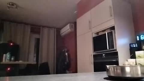 Snapshot of law9102 chatting on December 16, 2025, 5:45 am Law online show from December 16, 2025, 5:45 am