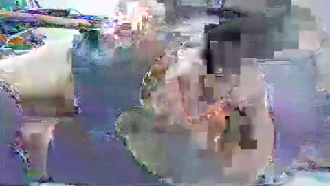 ldm0510 online show from May 30, 2026, 1:57 am