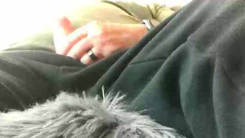 leckfreund53 online show from March 15, 2026, 2:45 pm